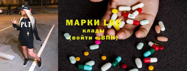 крисы Коряжма