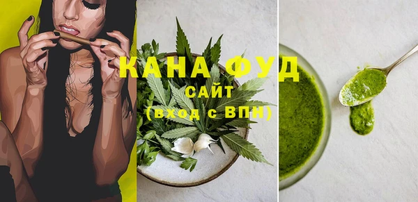 молекула духа Няндома