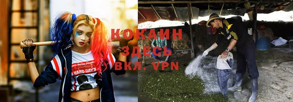 mdpv Козельск