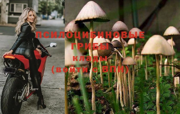 кристаллы Козловка